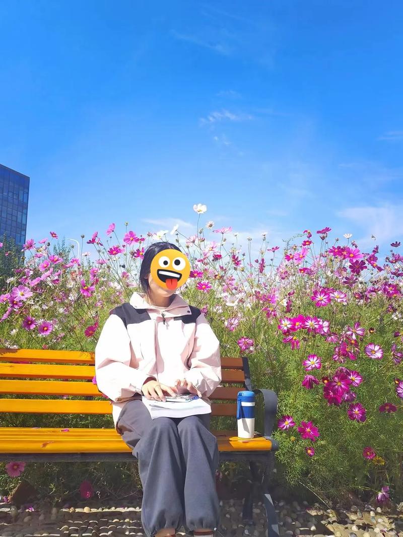 樱花ppt高清免费播放